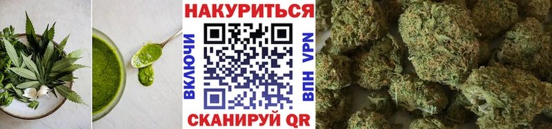 Cannafood конопля  Сурск 